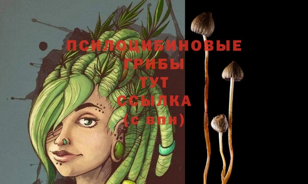 первитин Алексеевка