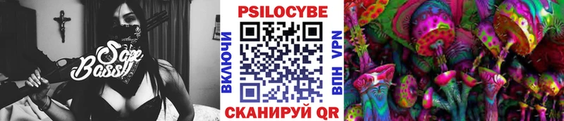 Псилоцибиновые грибы мицелий Оленегорск